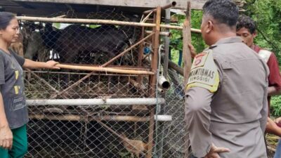 Bhabinkamtibmas Senggigi Dorong Warga Krandangan Manfaatkan Lahan Kosong untuk Ketahanan Pangan