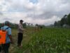 Polsek Kediri Dampingi Petani Desa Lelede Tingkatkan Ketahanan Pangan