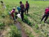 Sat Samapta Polres Lombok Barat Dukung Petani Jagung di Kuripan