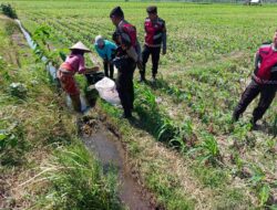 Sat Samapta Polres Lombok Barat Dukung Petani Jagung di Kuripan