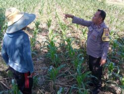 Bhabinkamtibmas Desa Bagik Polak Barat Dorong Petani Manfaatkan Lahan Kosong
