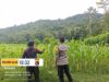 Bhabinkamtibmas Labuhan Alas Ajak Warga Manfaatkan Lahan Kering untuk Ketahanan Pangan