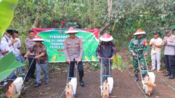 Polres Lombok Utara Gandeng Ponpes Tanam Jagung Serentak