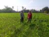 Bhabinkamtibmas Desa Jagaraga Dorong Pemanfaatan Lahan Produktif untuk Ketahanan Pangan