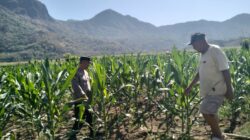 Upaya mendukung asta cita program Prioritas Nasional Pemerintah Polres Sumbawa Barat Melalui Jajaran Bhabinkamtibmas melaksanakan kegiatan pendampingan