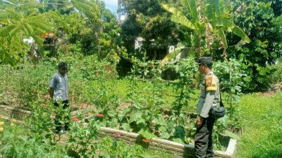 BHABINKAMTIBMAS DESA BERU LAKUKAN PENDAMPINGAN DAN MONITORING LAHAN PANGAN WARGA