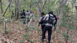 Smart patroli gabungan di Taman Nasional Tambora, TNI-Polri dan PEH cegah ilegal logging dan perburuan liar