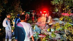 Evakuasi Pohon Tumbang di Karang Kates Berjalan Cepat