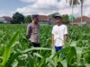 Polres Lombok Barat Dorong Kemandirian Pangan dari Pekarangan Warga Kuripan