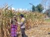 Bhabinkamtibmas Desa Kempo Lakukan Pemantauan tanaman jagung warga binaan.
