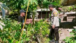 Bripka Ramli Dampingi Warga Kelola Lahan Pekarangan Pangan Bergizi di Desa Mantun