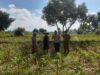 Bhabinkamtibmas dan PPL Desa Gelogor Dukung Petani Jagung Jaga Ketahanan Pangan Lombok Barat