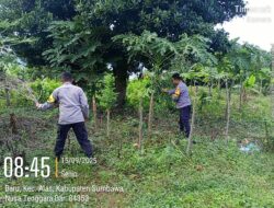 Sinergi Bhabinkamtibmas dan Warga Sumbawa, Wujudkan Ketahanan Pangan Nasional