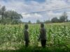 Polsek Labuapi Dorong Warga Dusun Jogot Tanam Hortikultura Guna Kemandirian Pangan