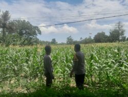 Polsek Labuapi Dorong Warga Dusun Jogot Tanam Hortikultura Guna Kemandirian Pangan