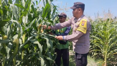 Sinergi Polri dan Petani Wujudkan Ketahanan Pangan Menuju Indonesia Emas 2045
