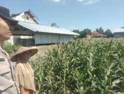 Bhabinkamtibmas Labuapi Dorong Petani Optimalkan Lahan Kosong untuk Ketahanan Pangan