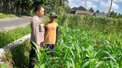 Polsek Kediri Dukung Petani Jagung Desa Gelogor untuk Wujudkan Ketahanan Pangan