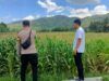 Polsek Kuripan Dampingi Petani Jagung Kuripan Selatan untuk Perkuat Ketahanan Pangan