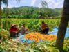 Polri Dorong Program Ketahanan Pangan di Desa Eyat Mayang, Lombok Barat