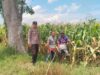 Bhabinkamtibmas Desa Mumbu Polsek Woja Polres Dompu Dampingi Petani Jagung Dukung Program Ketahanan Pangan Nasional