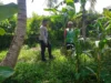 Bhabinkamtibmas Jagaraga Gerakkan Petani Lombok Barat Tanam Jagung
