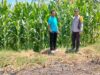 Tak Hanya Mengamankan, Bhabinkamtibmas Desa lasi Polsek Kilo Polres Dompu Turun ke Sawah Temani Petani.