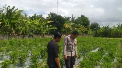 Bhabinkamtibmas Lombok Barat Ajak Warga Optimalkan Lahan untuk Ketahanan Pangan Desa