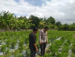 Bhabinkamtibmas Lombok Barat Ajak Warga Optimalkan Lahan untuk Ketahanan Pangan Desa