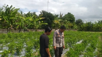 Bhabinkamtibmas Lombok Barat Ajak Warga Optimalkan Lahan untuk Ketahanan Pangan Desa