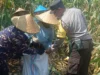 Polres Lombok Barat Cek Harga Beras, Pastikan Tak Ada Permainan Harga