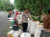 Bhabinkamtibmas Gerung Turun ke Sawah, Jaga Panen Jagung Petani Tetap Aman