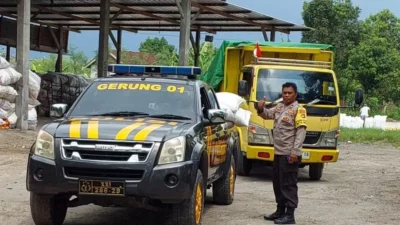 Jagung Petani Gerung Lolos Standar Bulog, Harga Aman dan Stabil