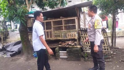 Didorong Bhabinkamtibmas, Warga Mulai Kembangkan Kandang Ayam