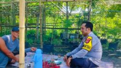 Aksi Bhabinkamtibmas Labuapi Perkuat Pangan Keluarga Melalui Optimalisasi Pekarangan