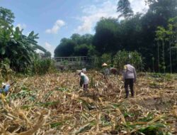 Polisi Dorong Petani Lombok Barat Perkuat Ketahanan Pangan