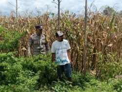Bhabinkamtibmas Gerung Dorong Warga Manfaatkan Lahan Kosong