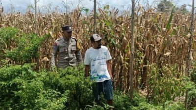 Langkah Praksis Polsek Gerung: Edukasi Pemanfaatan Lahan Kosong