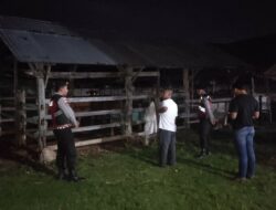 Polsek Sekotong Gencarkan KRYD, Kandang Sapi Jadi Prioritas Patroli Dini Hari