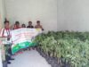POLSEK SEKONGKANG DAMPINGI (GGM) SUMBAWA BARAT SALURKAN BIBIT TANAMAN DI WILAYAH KECAMATAN SEKONGKANG