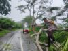 Gerak Cepat Polsek Asakota Evakuasi Pohon Tumbang yang Menutup Akses Jalan Umum di Ncai Kapenta