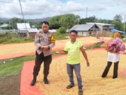 BHABINKAMTIBMAS DESA DORO MELO SAMBANG DAN PANTAU WARGA YANG MENJEMUR HASIL PANEN JAGUNG