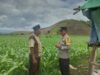 Bripka Heri Laksanakan Pemantauan Lahan untuk Perkuat Ketahanan Pangan Masyarakat