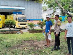 Polri Kawal Ketahanan Pangan: Bhabinkamtibmas Dampingi Petani Jagung