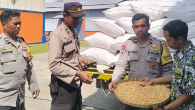 Jaga Ketahanan Pangan, Polri Kawal Penyerapan Jagung Petani di NTB