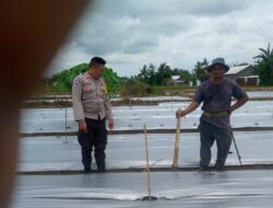 Bhabinkamtibmas Kuripan Sukses Dorong Warga Optimalkan Lahan Pangan