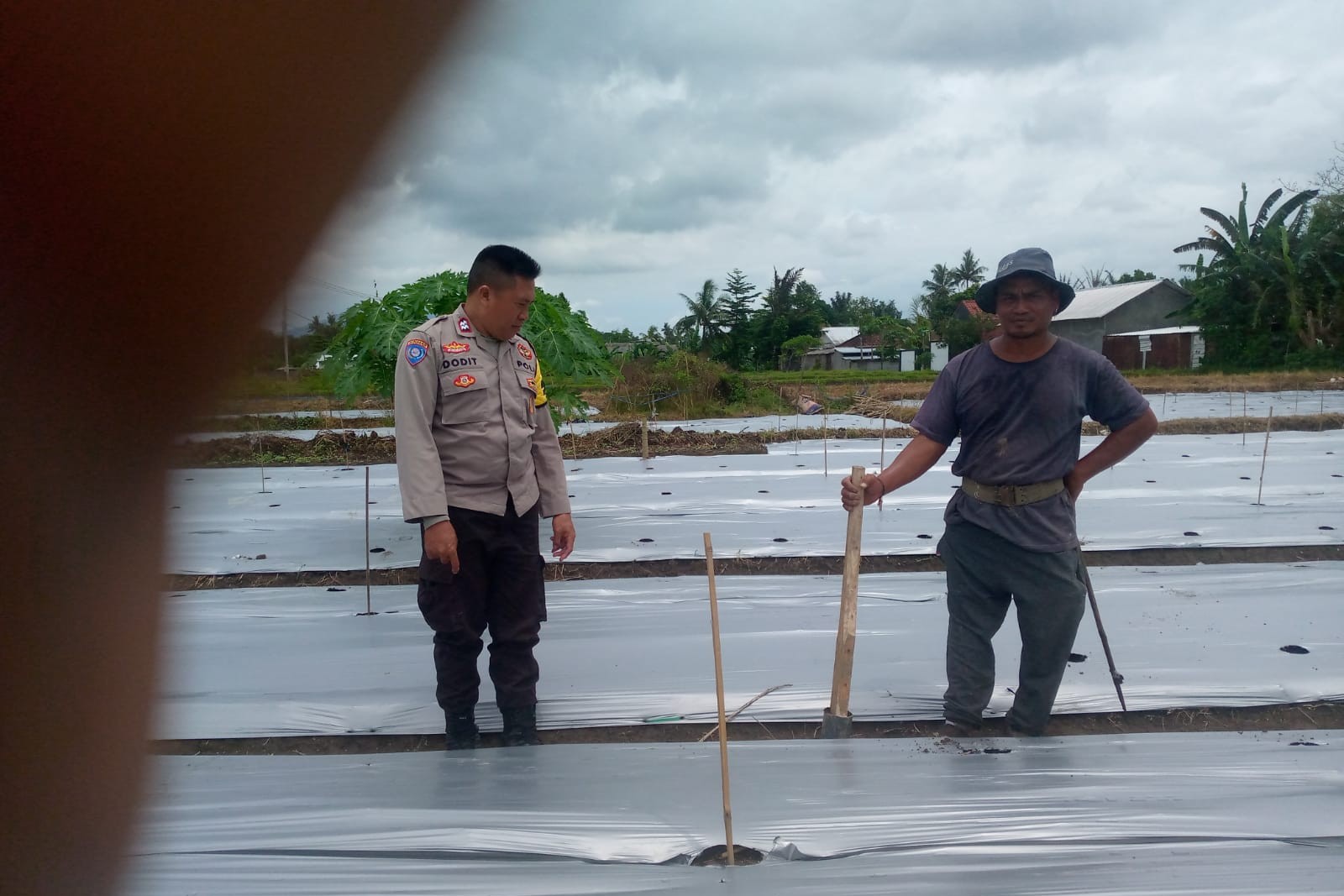 Aksi Nyata Bhabinkamtibmas Lombok Barat Dukung Ketahanan Pangan Nasional