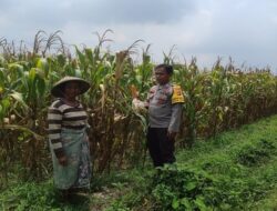 Bhabinkamtibmas dan Kades Sinergi Kuatkan Ketahanan Pangan Desa