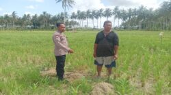 Pesan Polri: Lahan Kosong Adalah Kunci Ketahanan Pangan Desa