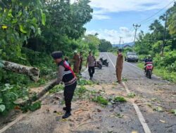 Aksi Sigap Polsek Sekotong: Bersihkan Pohon Tumbang di Lombok Barat